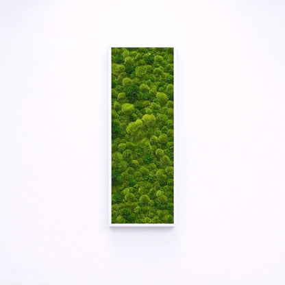 tableau végétal naturel stabilisé 