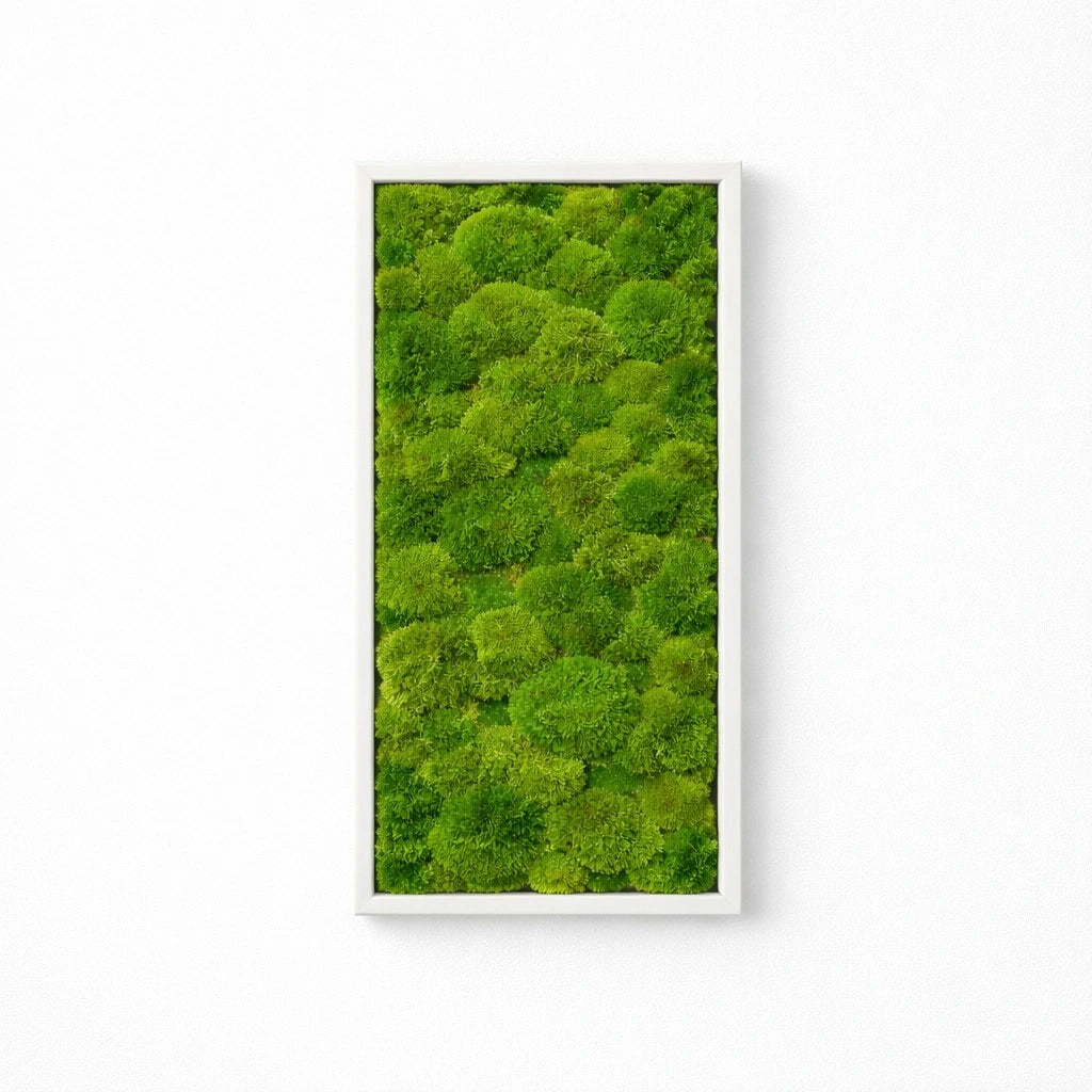 tableau végétal naturel stabilisé 