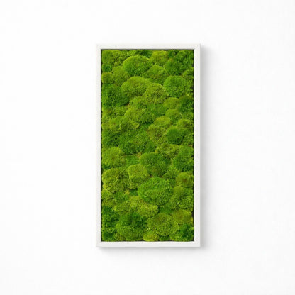 tableau végétal naturel stabilisé 