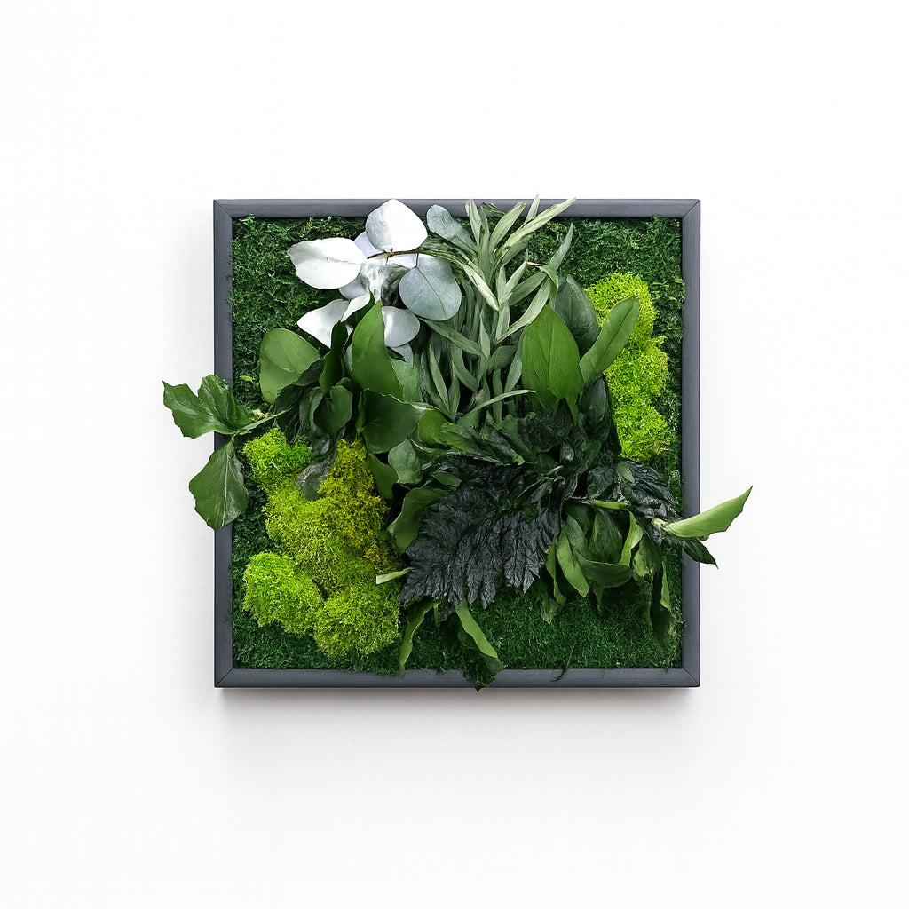 tableaux végétaux murs stabilisés décoration intérieur design