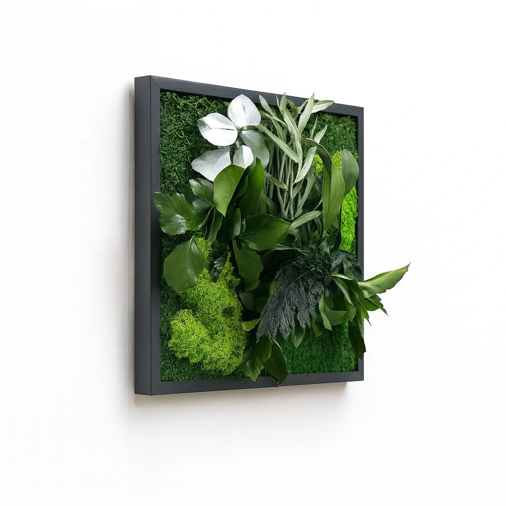 tableaux végétaux murs stabilisés décoration intérieur design