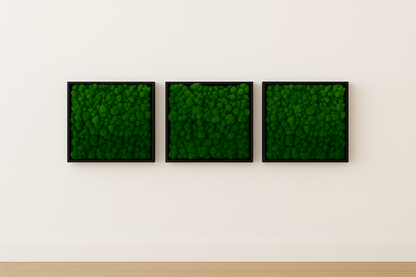 tableau stabilisé naturel végétal