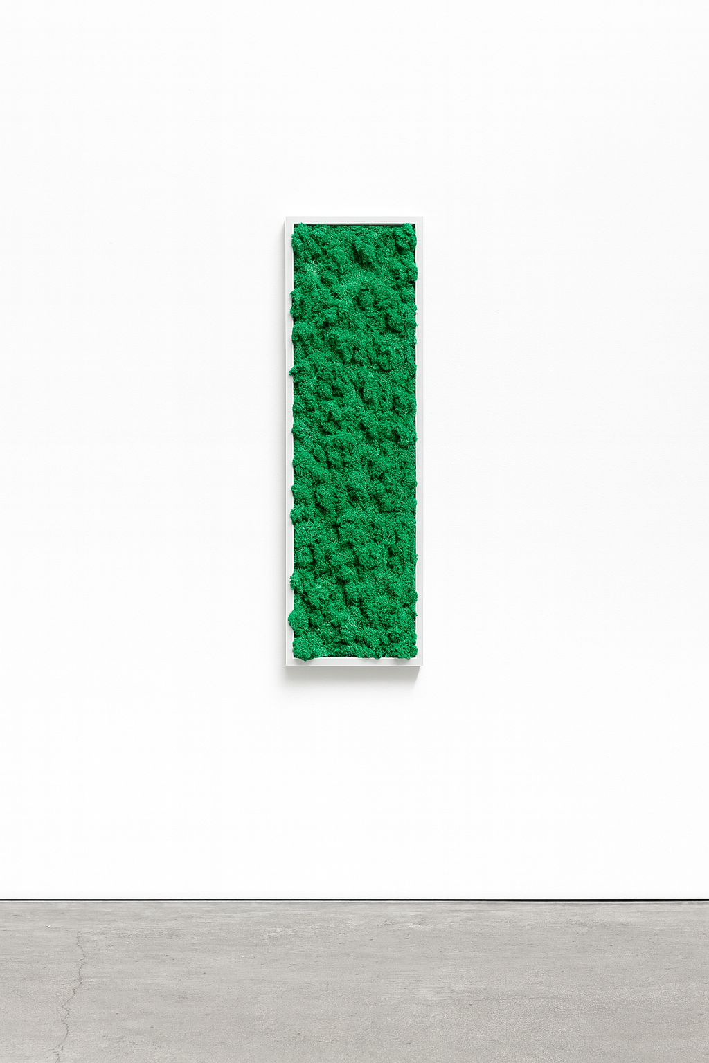 stabilisé mur tableau végétal 
