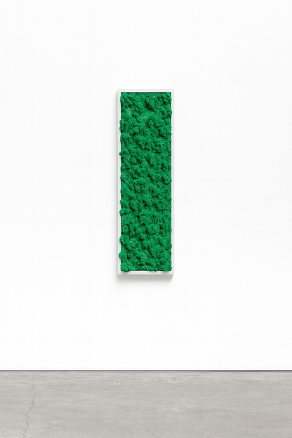 stabilisé mur tableau végétal 
