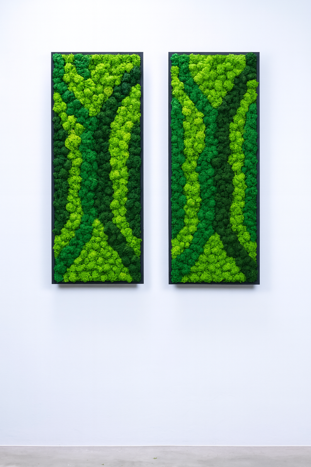 stabilisé mur tableau végétal